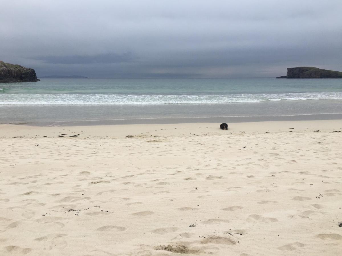 Eco Crofters Wagon By The Beach Oldshoremore Buitenkant foto